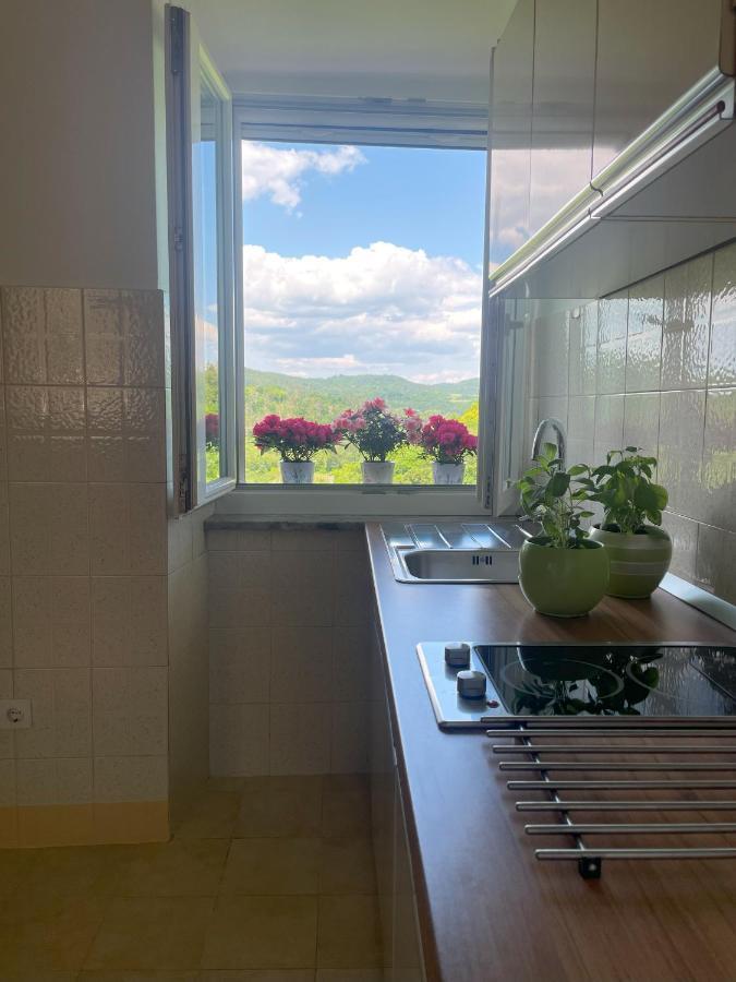 Apartment Kastel パジン エクステリア 写真